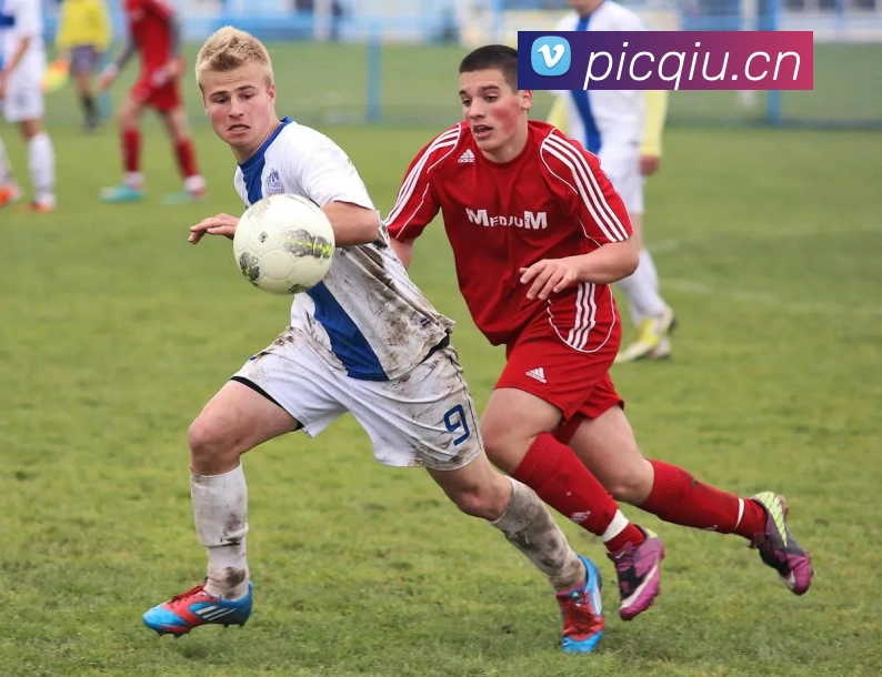 leyu官网入口平台生态图